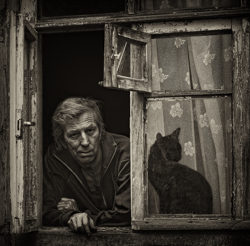 Человек и кошка. - Михаил Ушаков