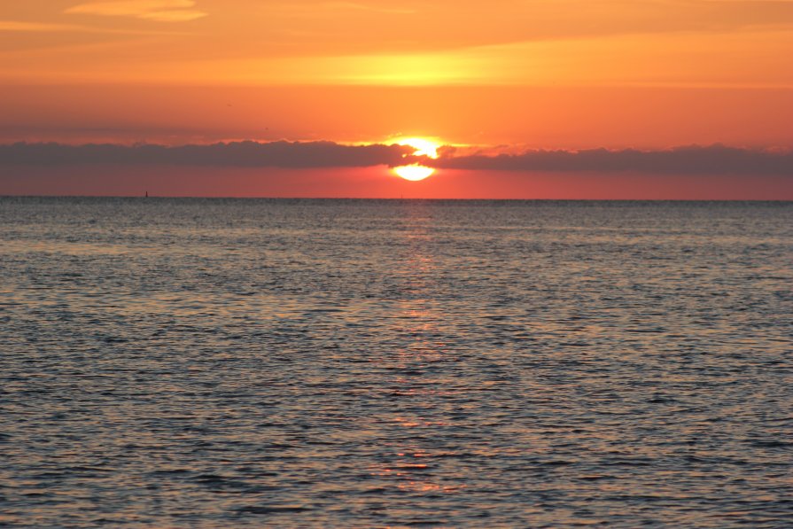 закат - Veronique 