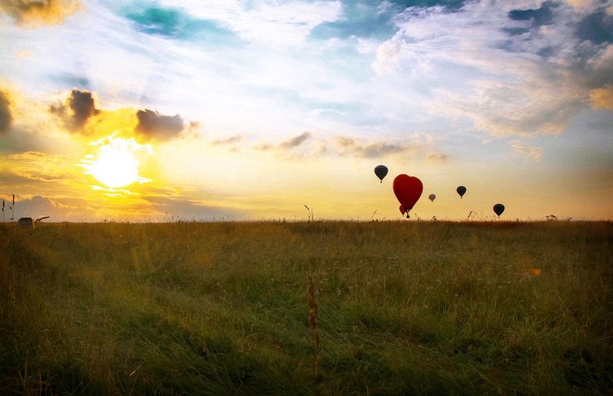 в июле  на закате. - Elena 