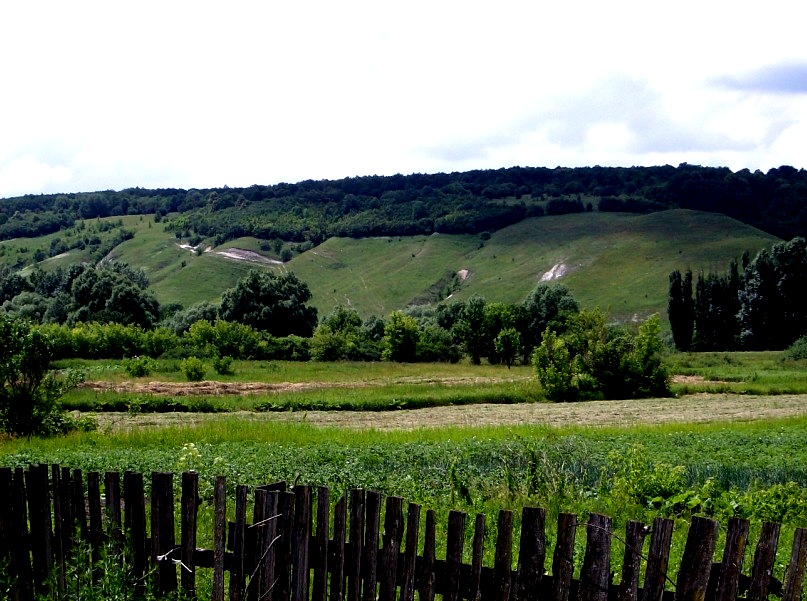 ... - Алена Айрих