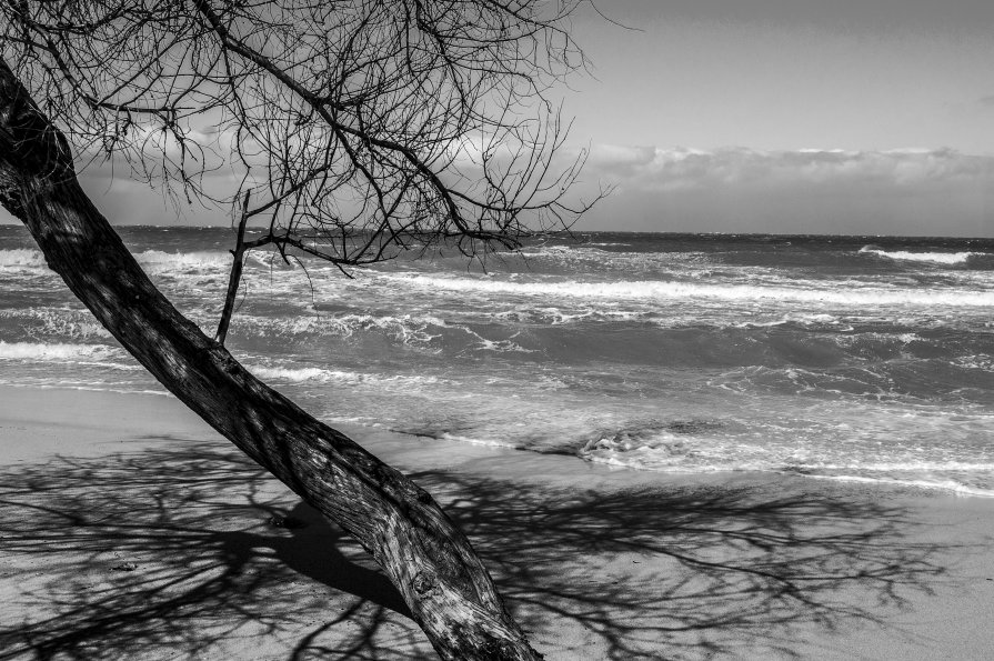 У моря - Vladimir Lisunov