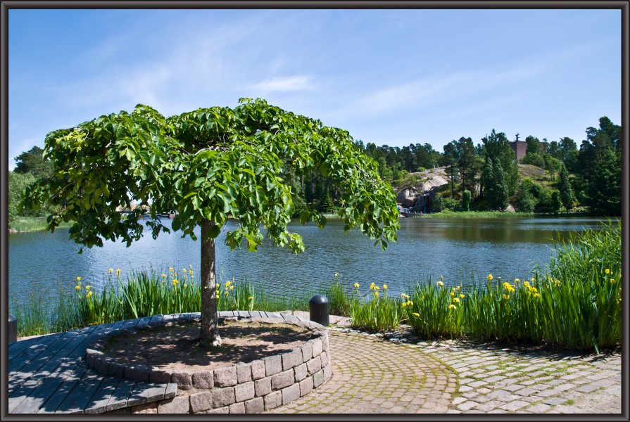 Зеленое лето - Farid Almukhametov