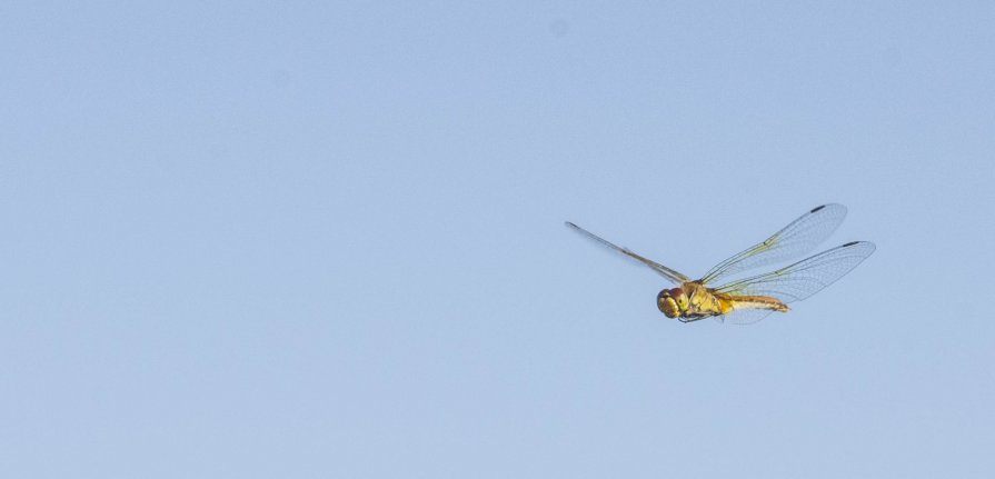 Малая авиация - Алёна Романова Малая авиация - Алёна Романова