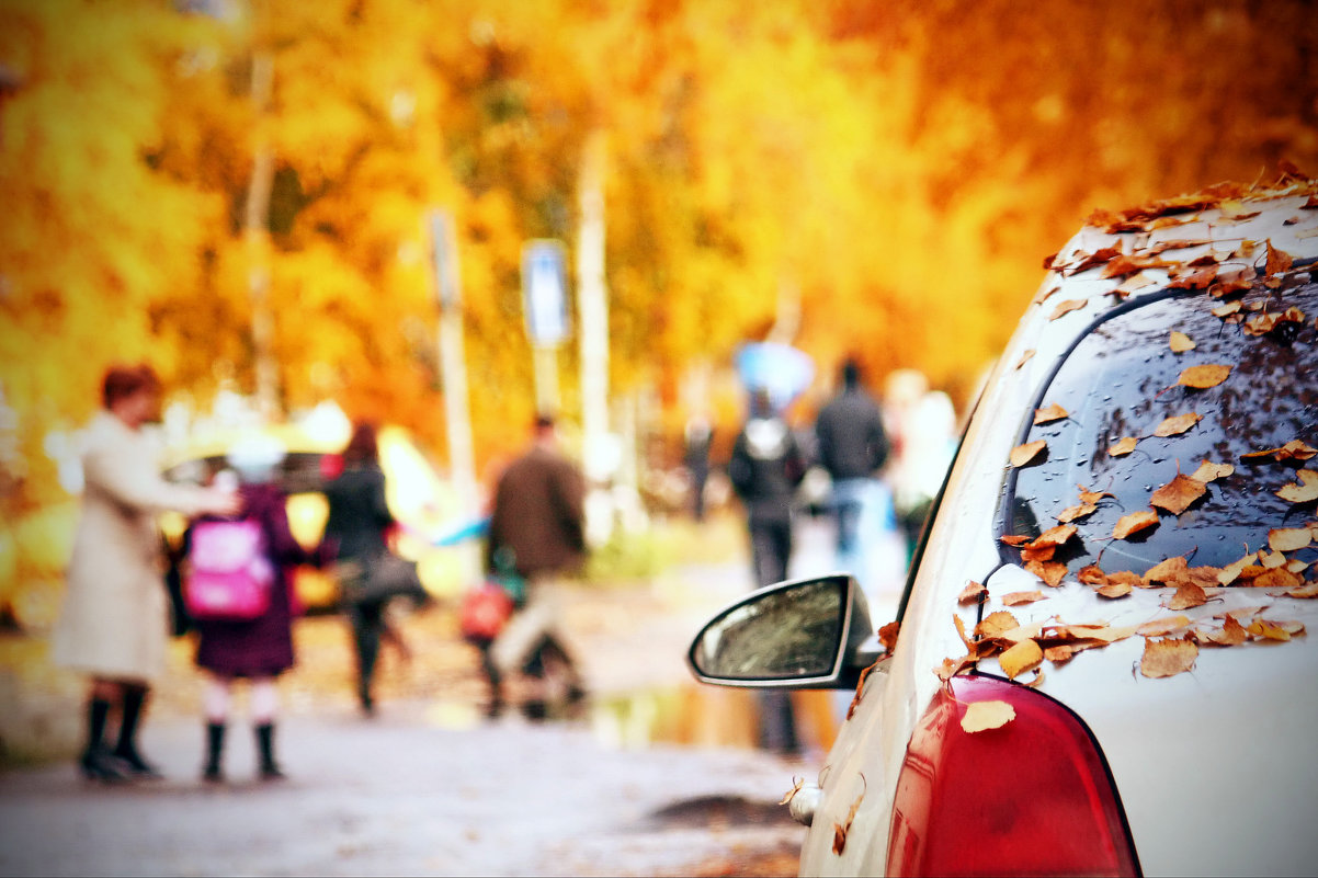 Осенний день. - Алексей Хаустов