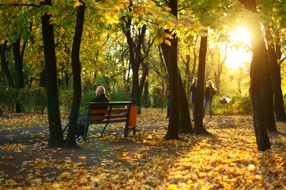 Осень в парке - Сергей Филин