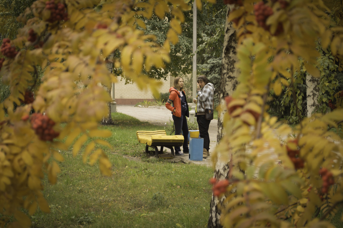 Рябиновая рамка - Михаил Любимов