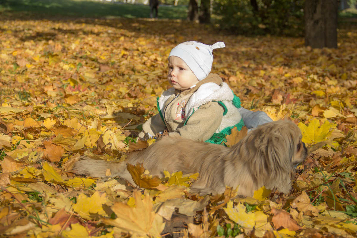 ... - Оксана К