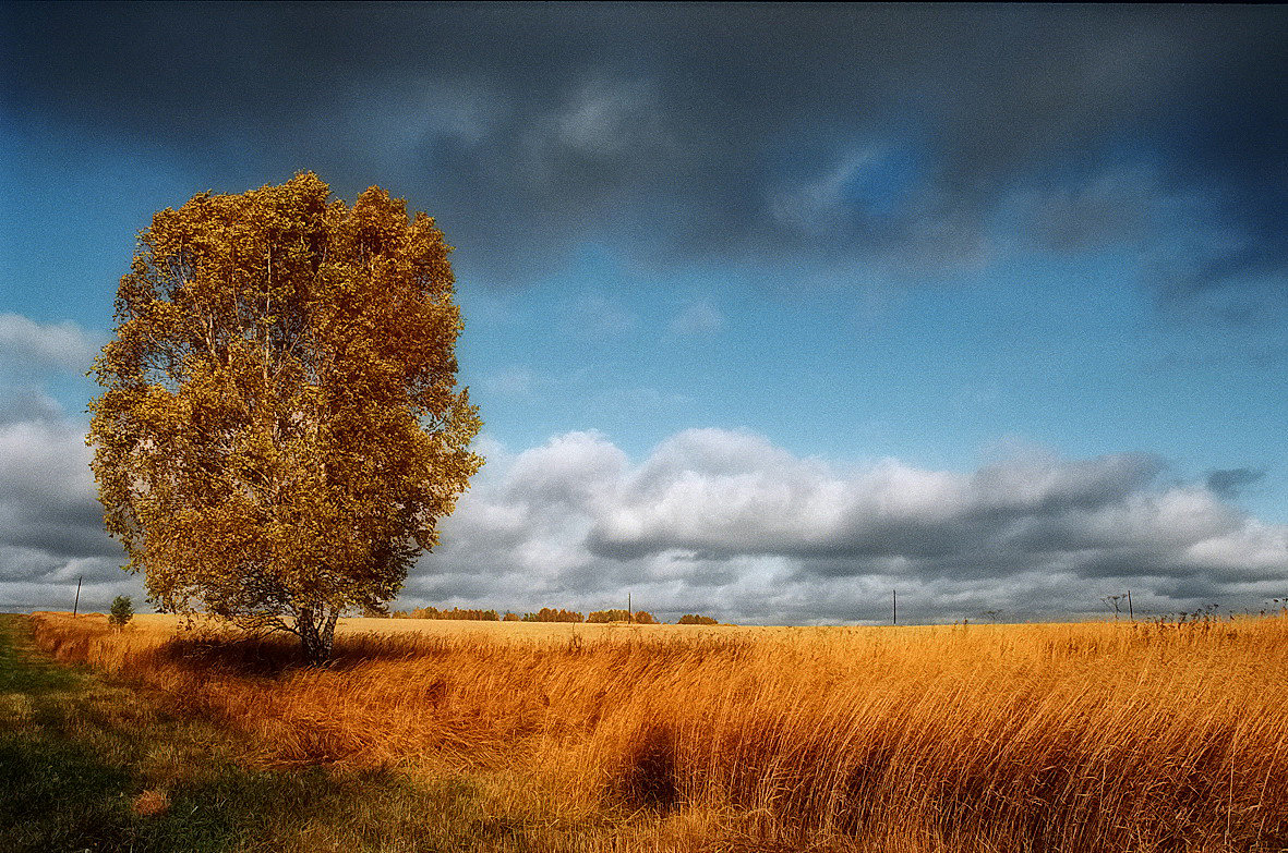 Осень золотая - Сергей Коновалов
