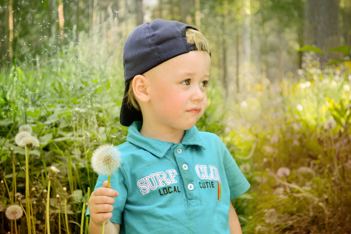 одуванчик - Елена Ресчикова