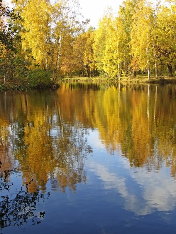 Золотая осень - Александр Капустин