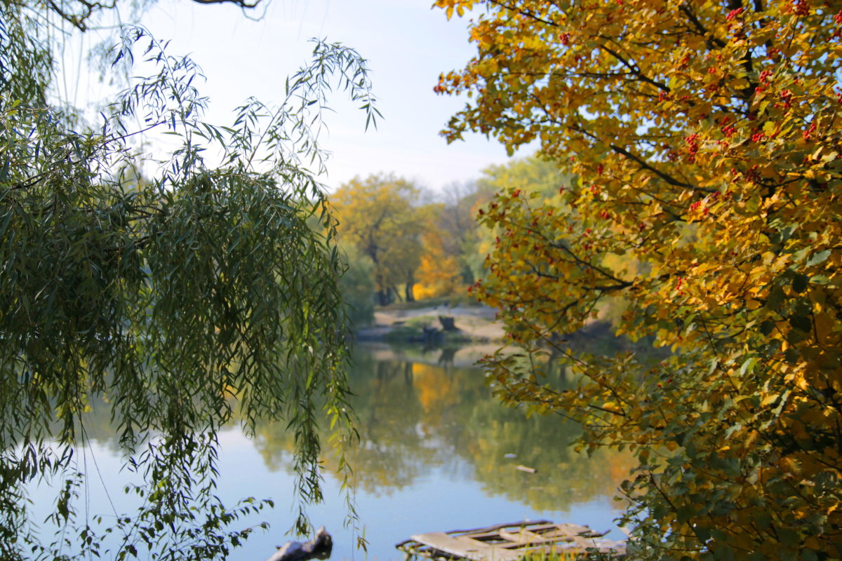 осень в лесу - Светлана Попова