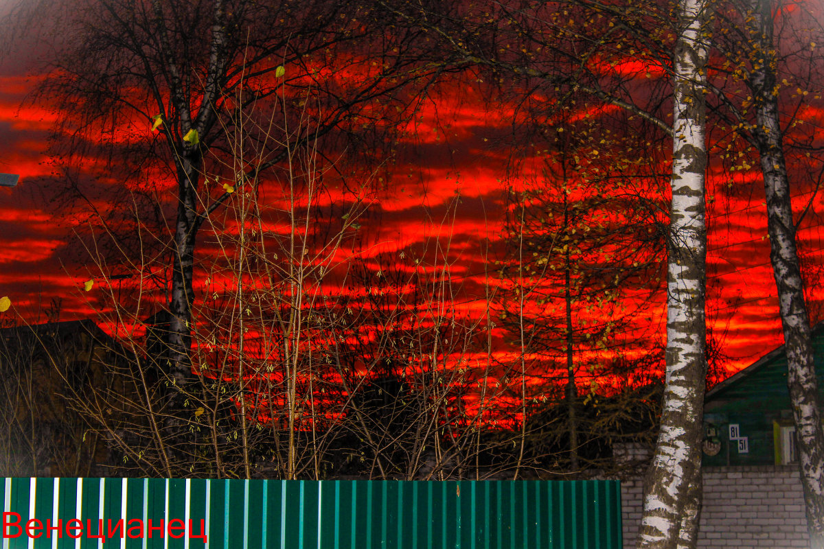 ... - Илья Назаров ... - Илья Назаров