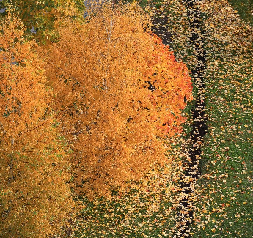 Тропа ... - Анна Уварова