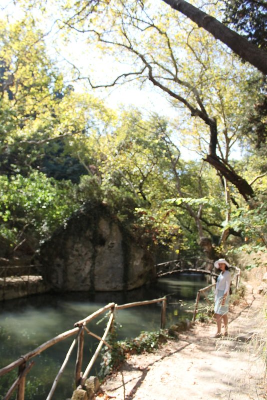 На прогулке - Максим Пинчук