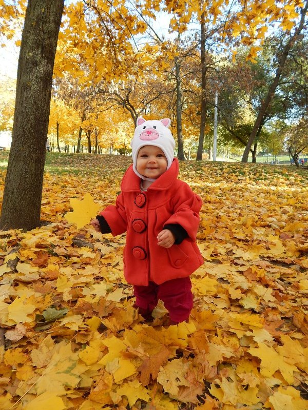 Мышонок - Елена Соколовская