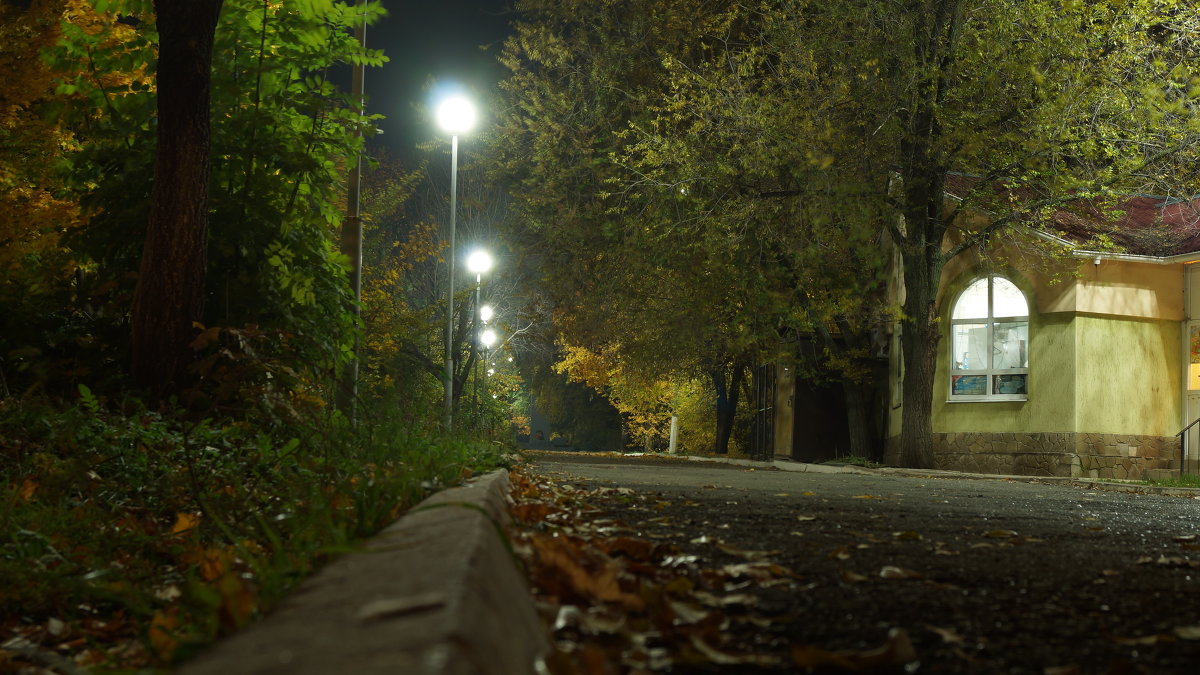 ... - Павел Карманов