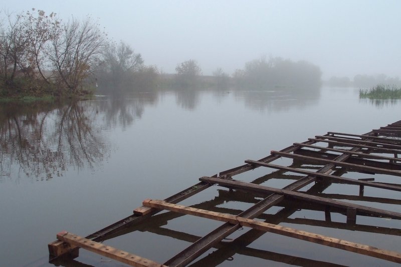 Туман... - Виталий Шевченко
