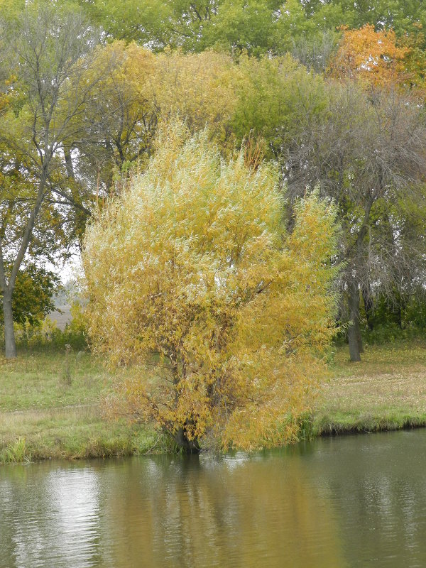 ... - Aлександр Юрченко
