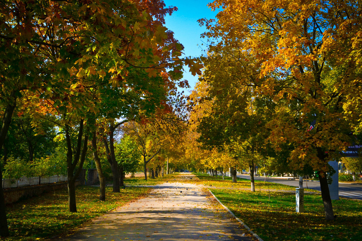 яркая  осень - еееееее яяяччч