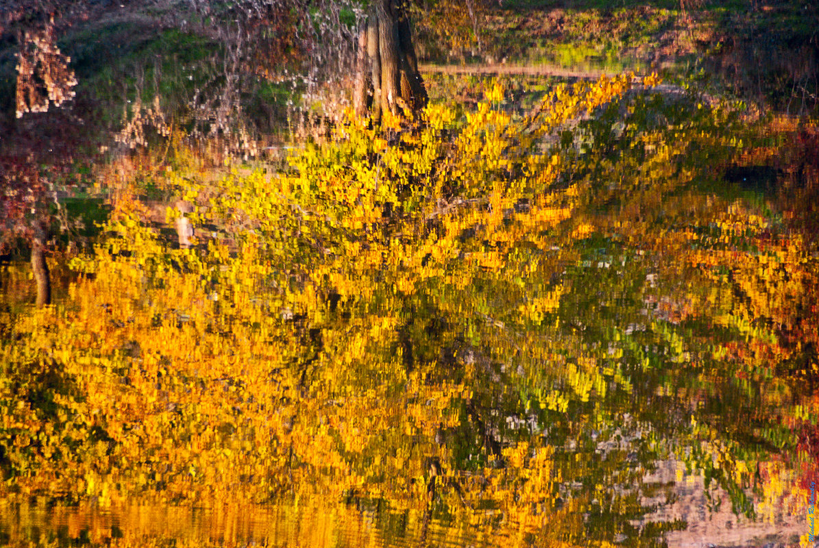 вечером  октября - Михаил Рублевский