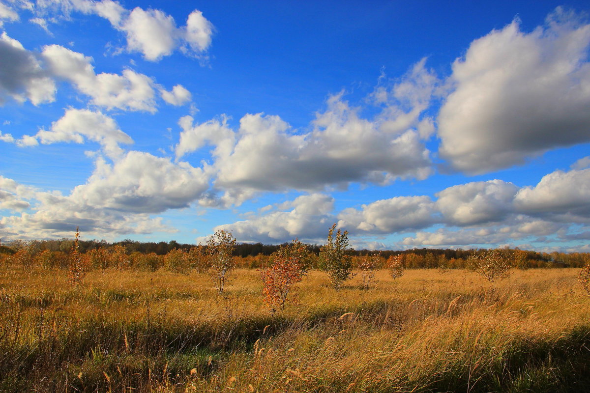 ... - Victor Klyuchev