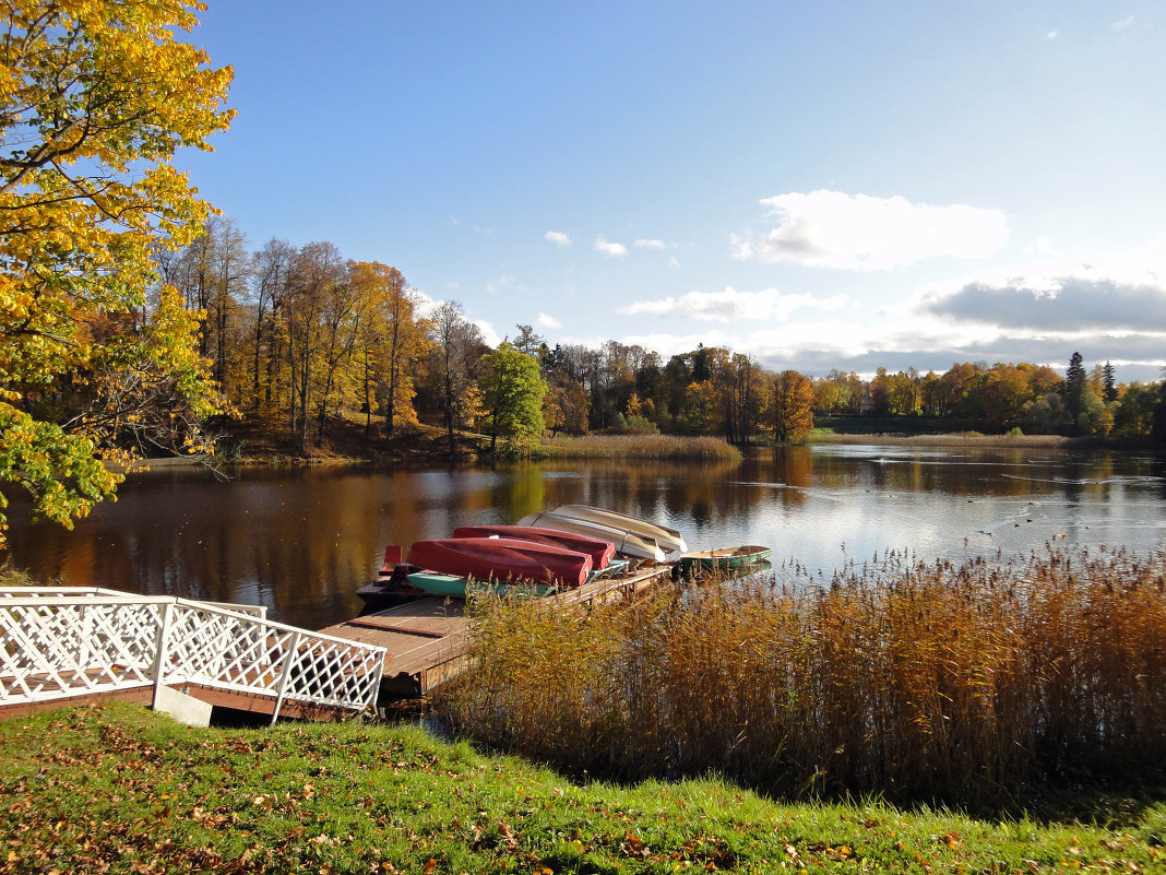 Тишина - Мария Какоткина Тишина - Мария Какоткина