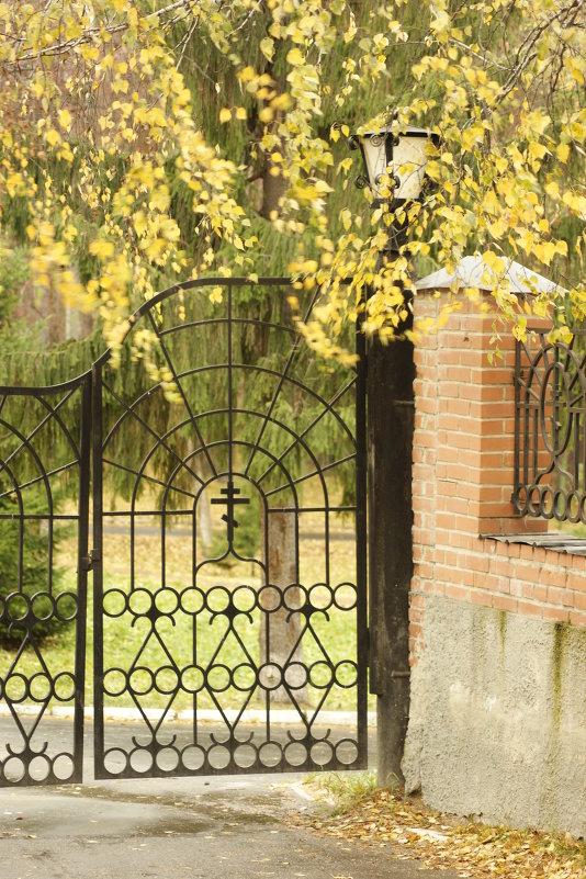 Фонарь - Наталья 