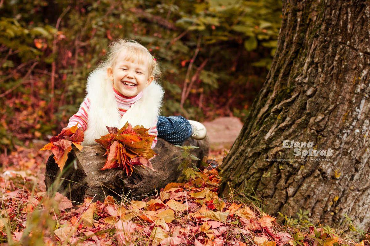 Осенние краски - Елена Спивак Осенние краски - Елена Спивак