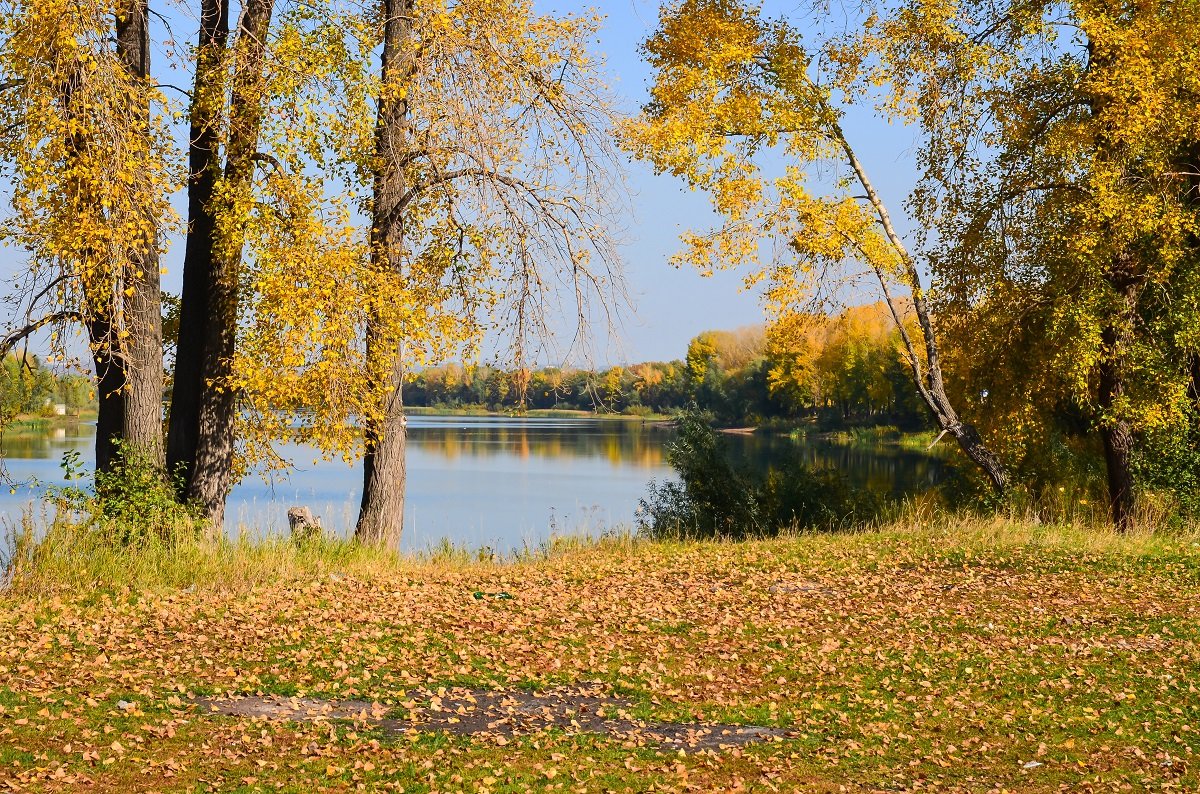 Золотая пора! - Олег Елизарьев