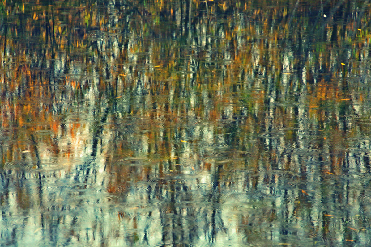 Импрессионизм осеннего дождя... - Полина 