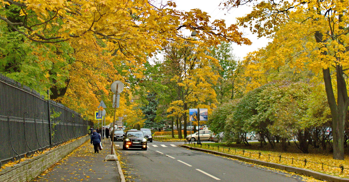 Очей очарование - Олег Попков