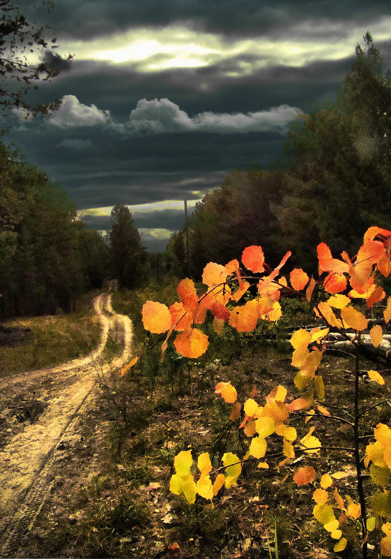 Дорога в осень - Елена Строганова