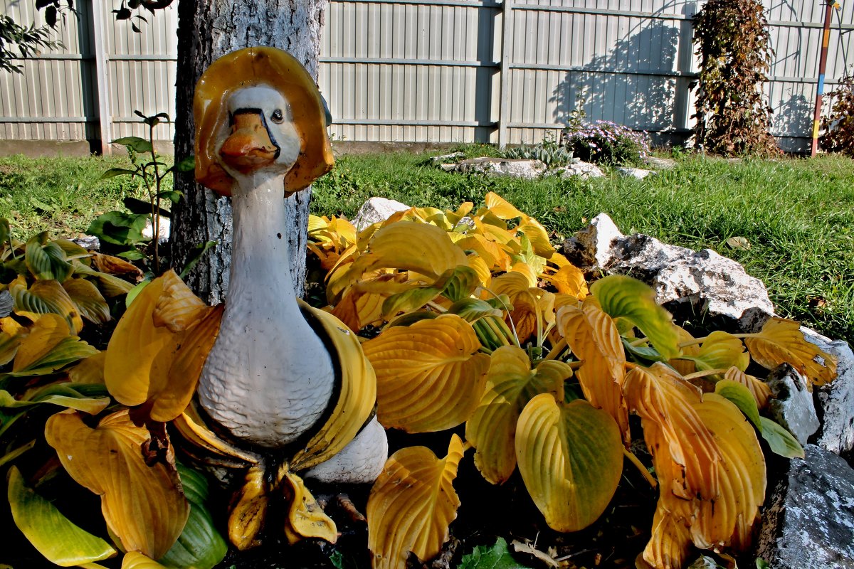 спряталась на зиму - Василий Ворохта