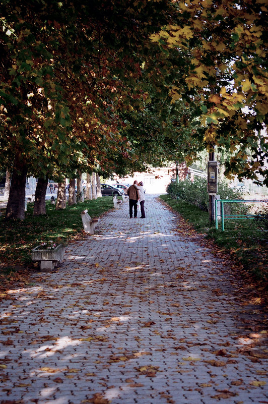 Осеннее тепло - Daria Ra