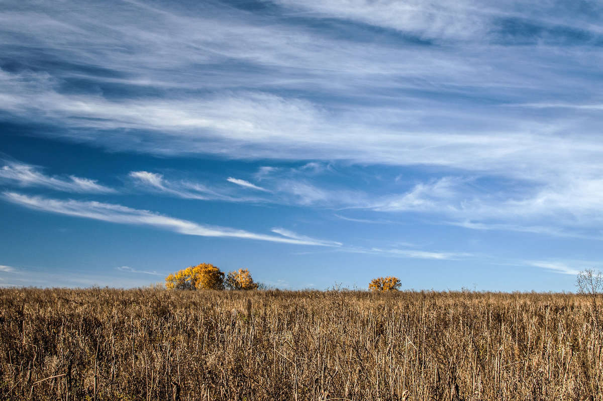 Осень в подмосковье - Mikhail Kuznetsov Осень в подмосковье - Mikhail Kuznetsov