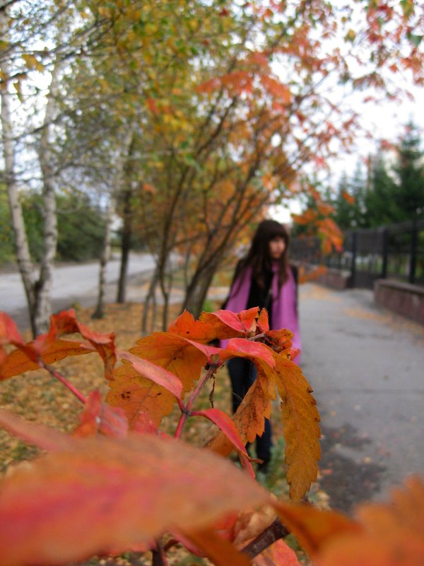 ... - Евгения 