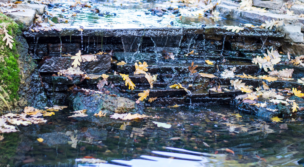 Миниводопады осени - Алексей 