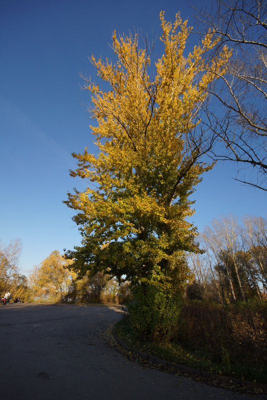 свеча - michal1 