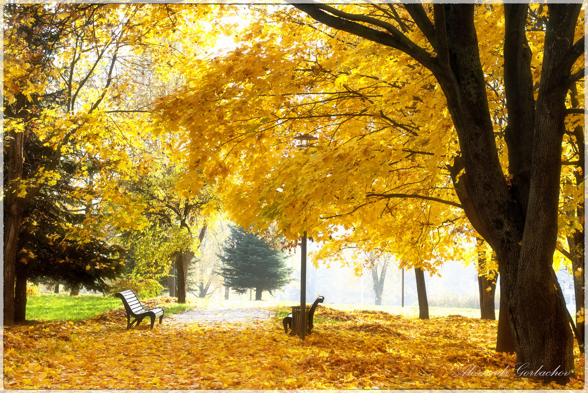 Осень золотая - Александр Горбачев