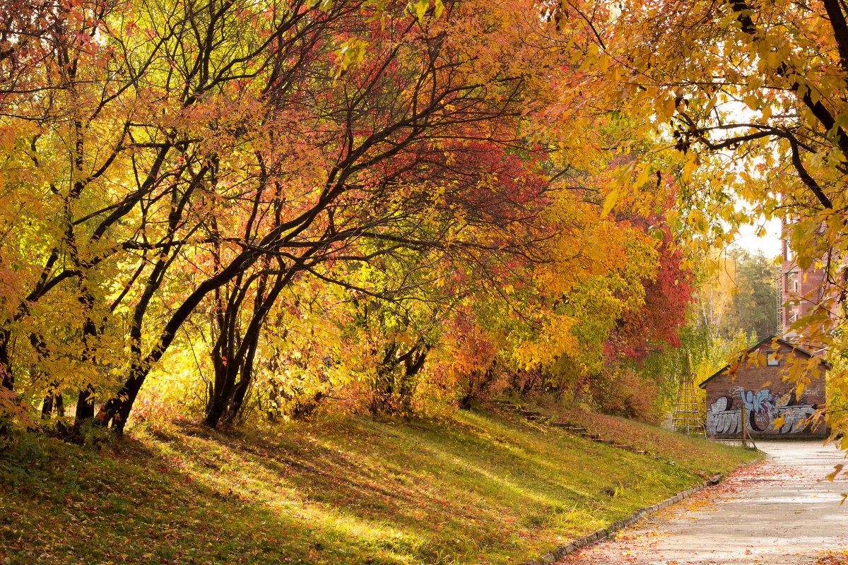 Осень, осень ... - Надежда 