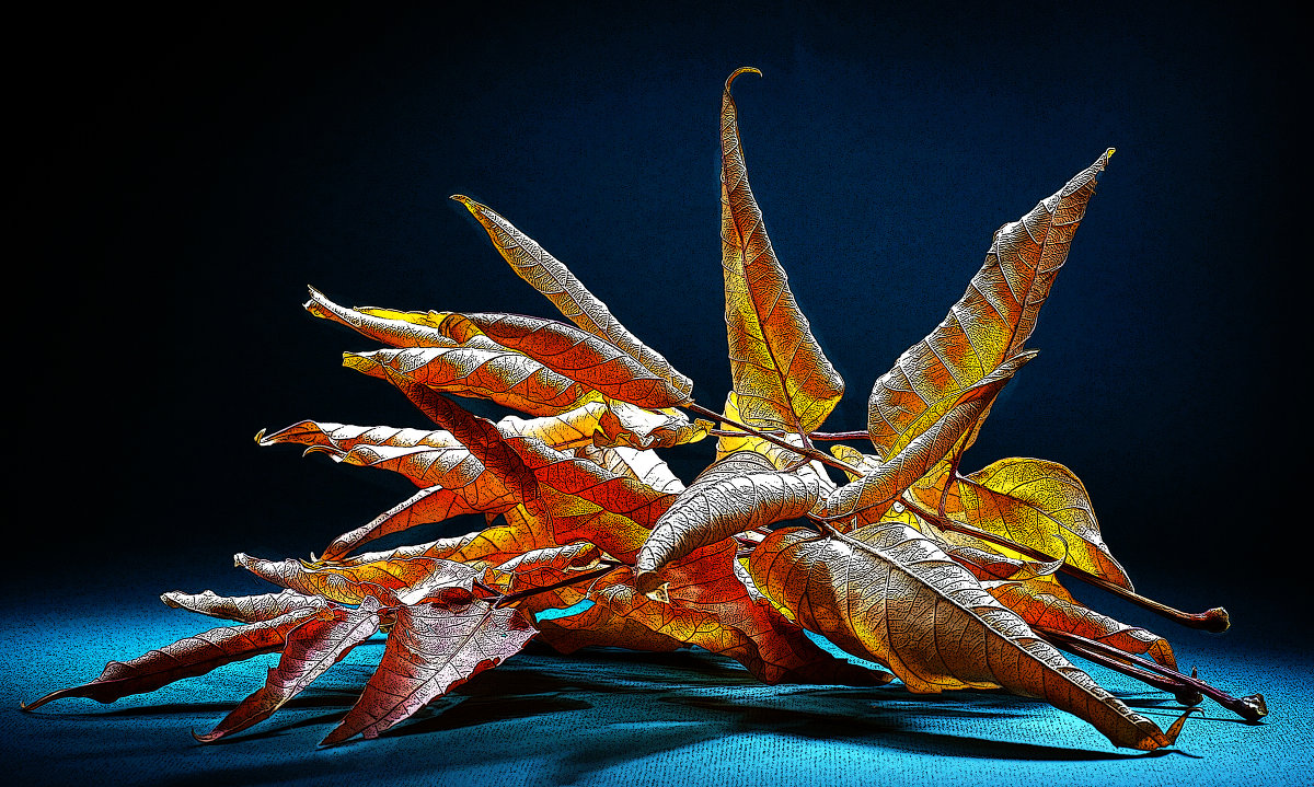 Осень - Андренко Олег 