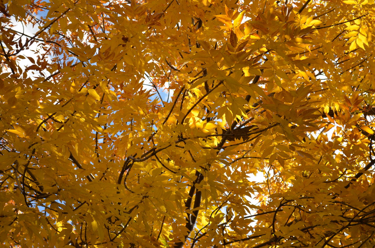 ... - Vana Harutyunyan