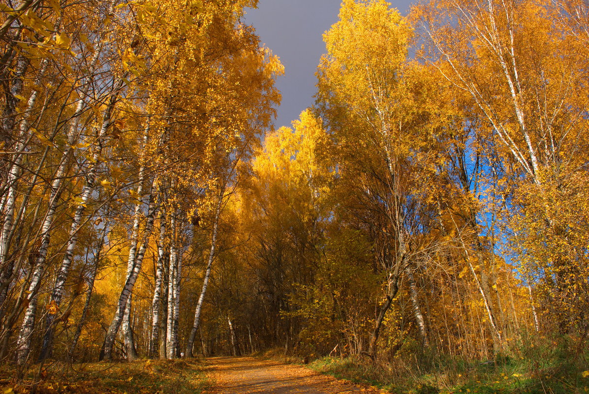 Золотая осень!!! - Олег Семенцов