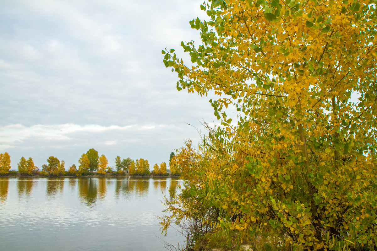 Перелив - Андрей Щукин