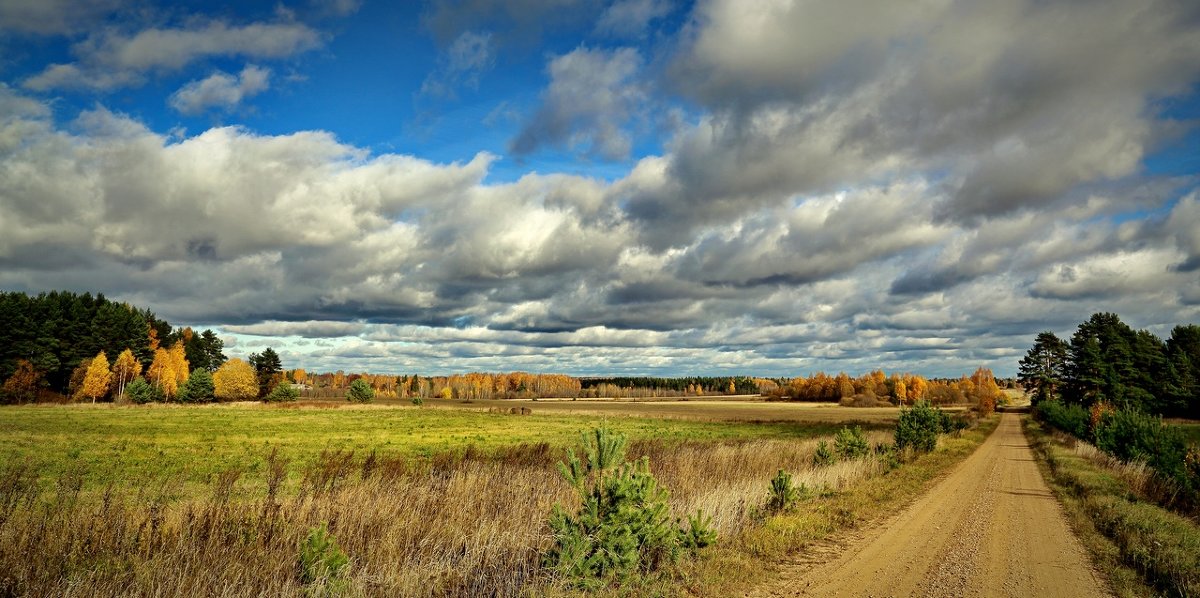 Осенее настроение - Владимир Вишняков