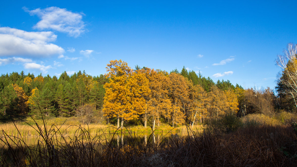 Осень у "Вшивой горы" - EMIL BIZYAEV Осень у "Вшивой горы" - EMIL BIZYAEV