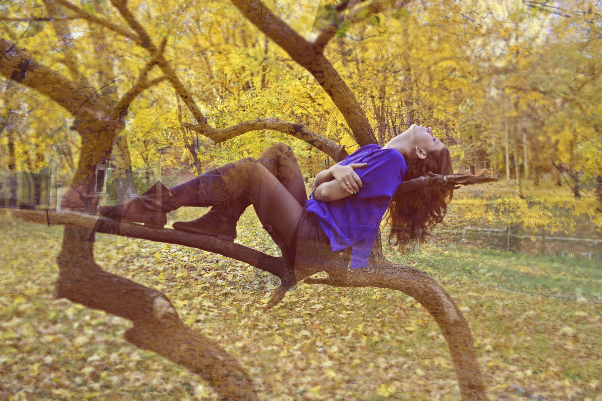 International Sun - V V