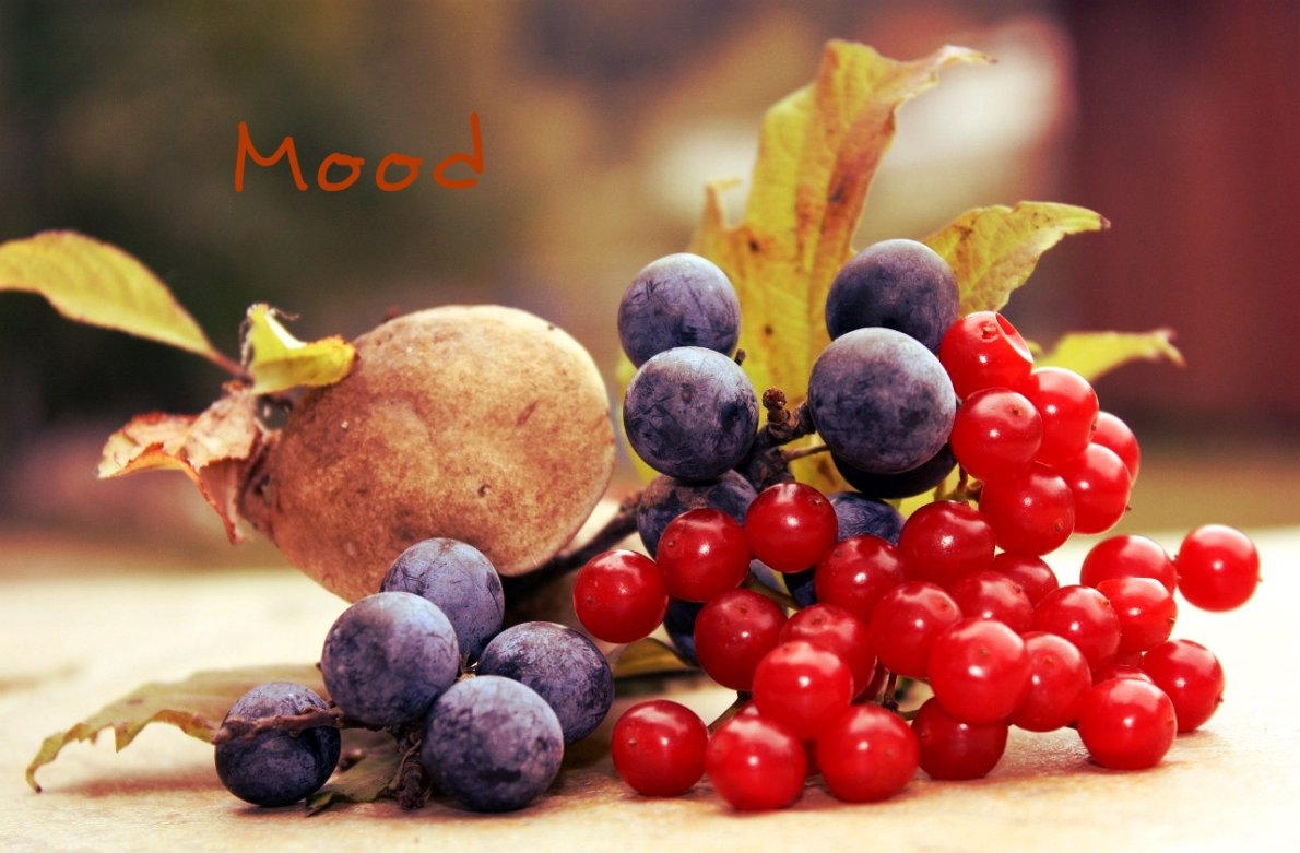 Красота :) - Яна Гоголь