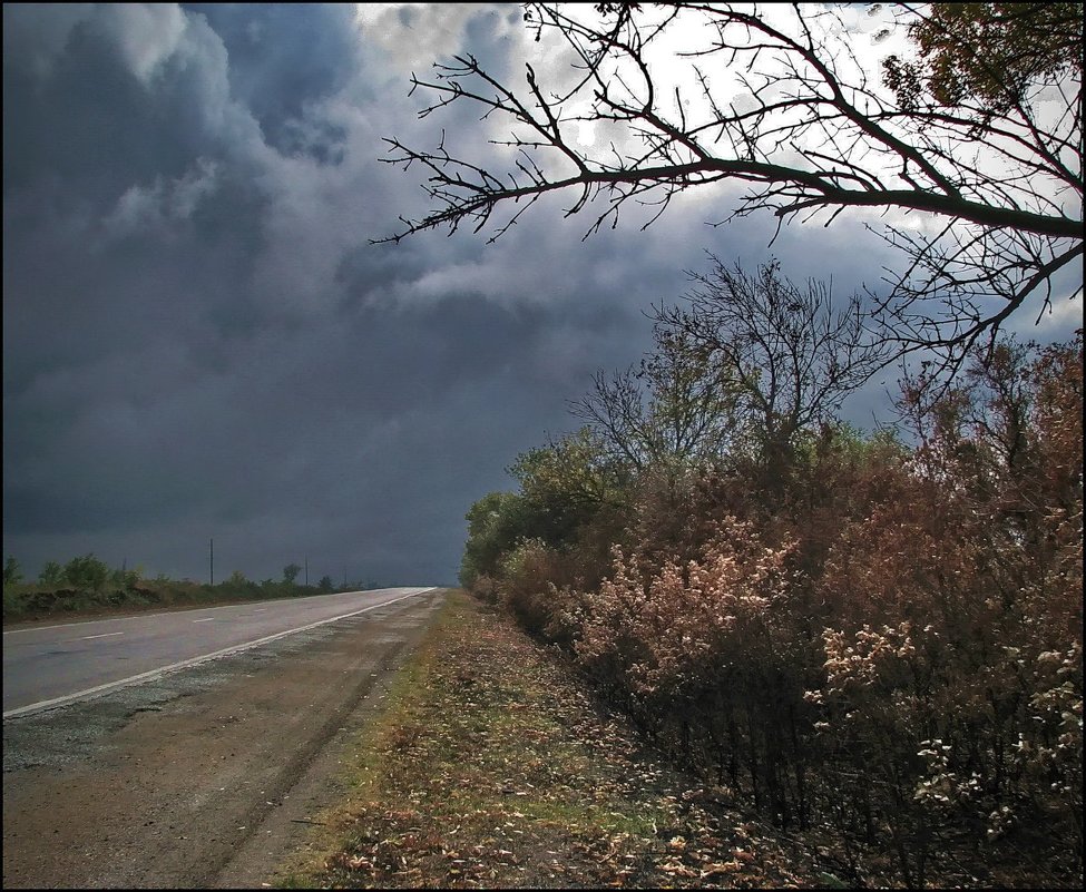 Перед грозой... - Юлия Juli-Elizabeth