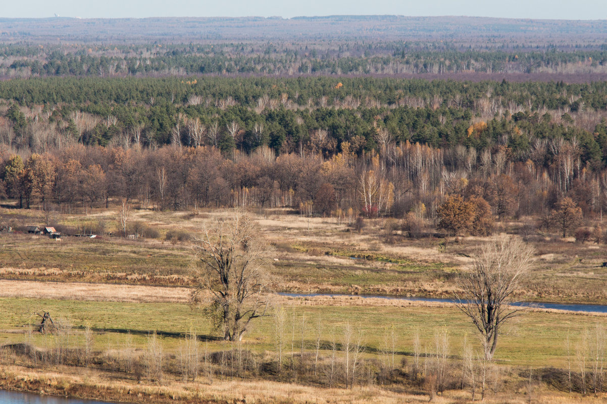 осенний пейзаж - Сергей Старовойт